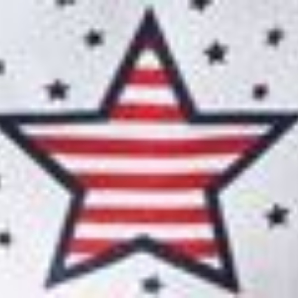 Patriotic tote & flip flops - Picture 3 of 3